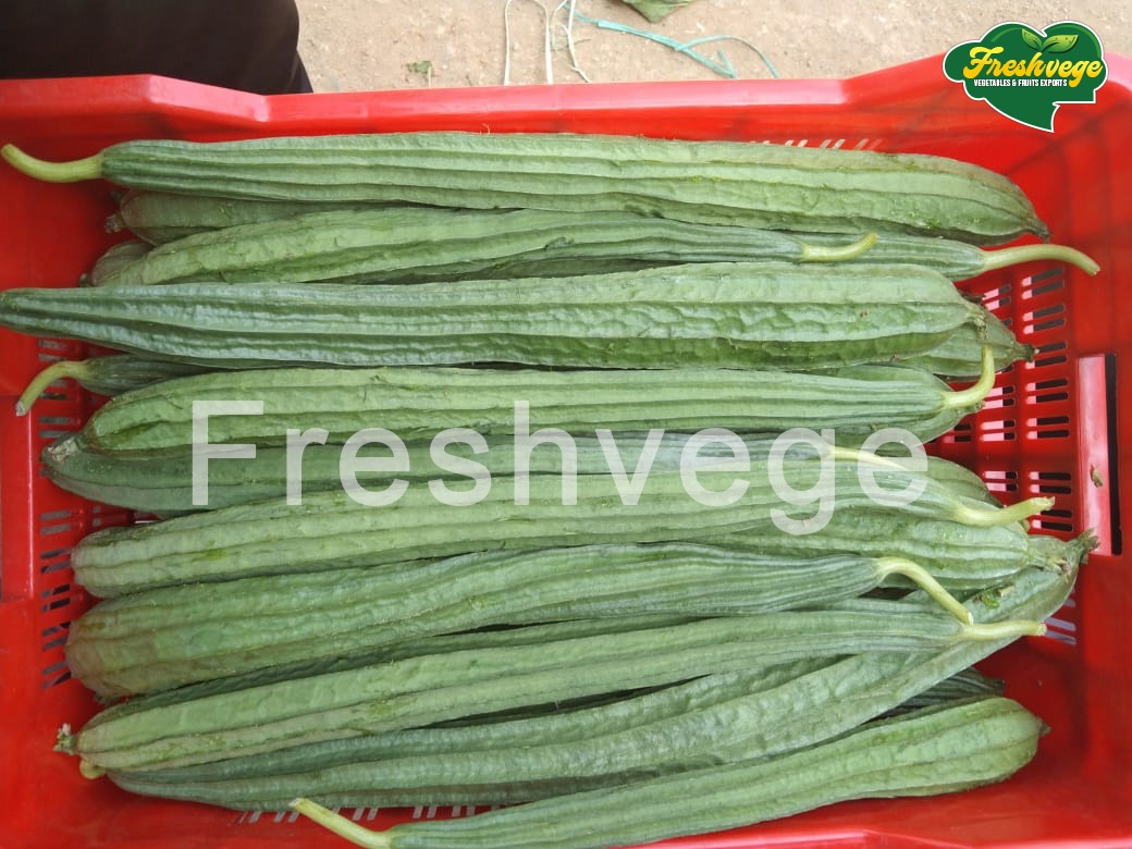 Fresh Vegetables from Chennai